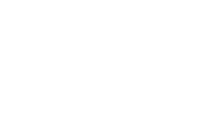 StyleSurge Media